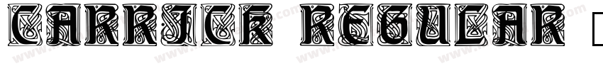 Carrick Regular字体转换